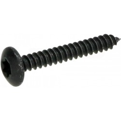 Βίδα torx Αυτοδιατρητική